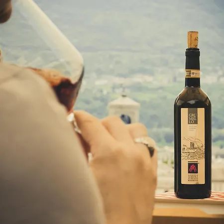 Lejlighed La Dolce Vista Perledo